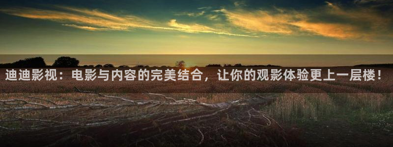 九七影院在线手机网页版：迪迪影视：电影与内容的完美结合，让你的观影体验更上一层楼！