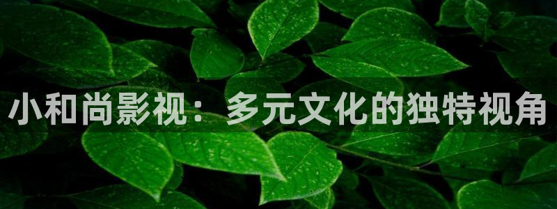 九七影院97：小和尚影视：多元文化的独特视角