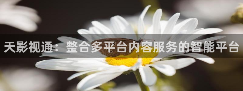 九七免费理论电影：天影视通：整合多平台内容服务的智能平台