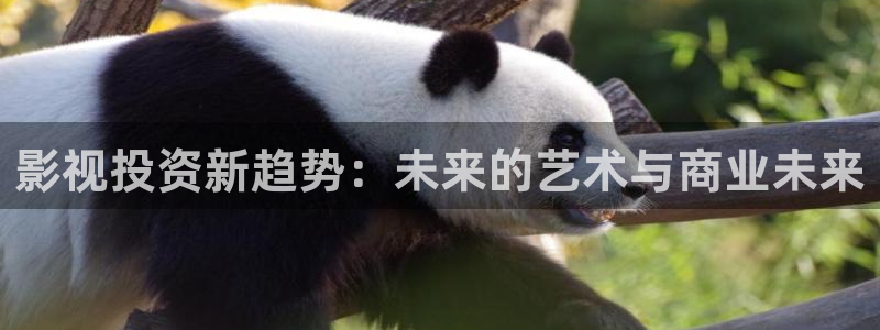 九七电影网秋霞：影视投资新趋势：未来的艺术与商业未来