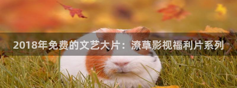 九七影视：2018年免费的文艺大片：潦草影视福利片系列
